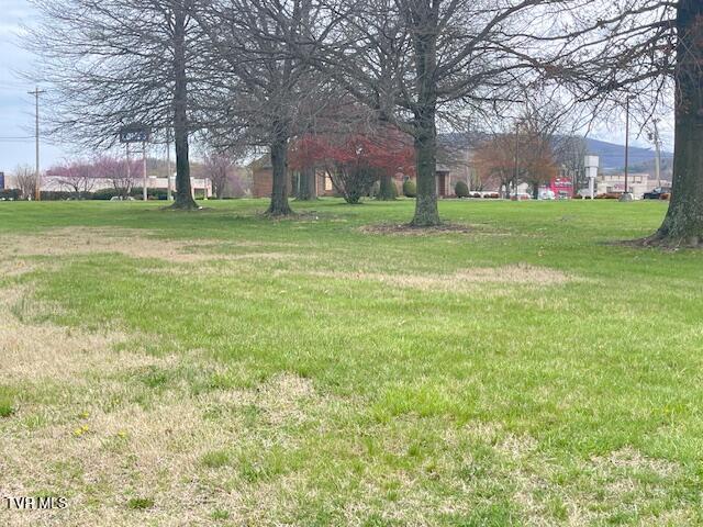 Photo #28: 111 Elk / Charlie Robinson Avenue