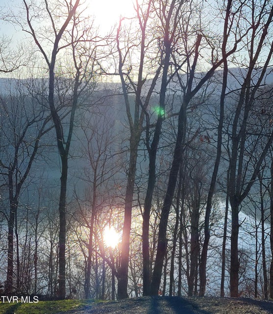 Photo #59: 22455 Wyldwood Road Road