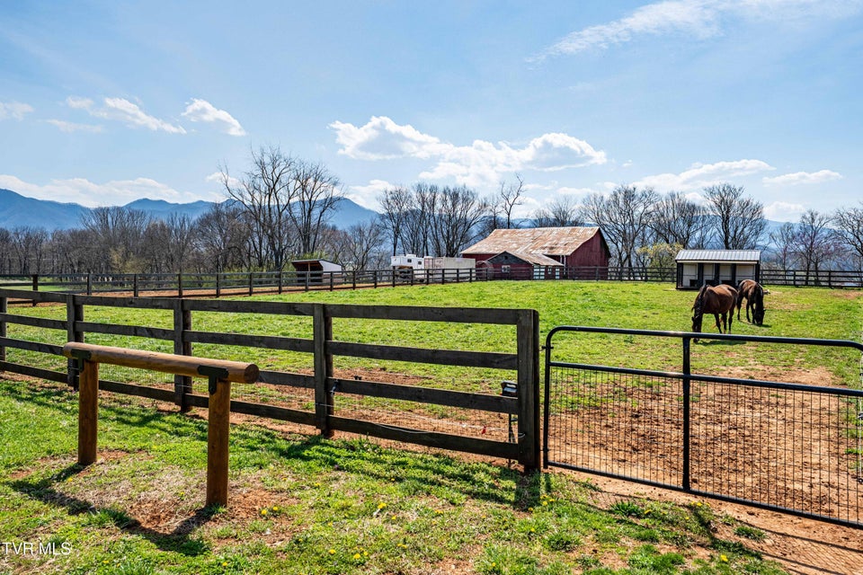 Photo #65: 151 Frank Stanton Road