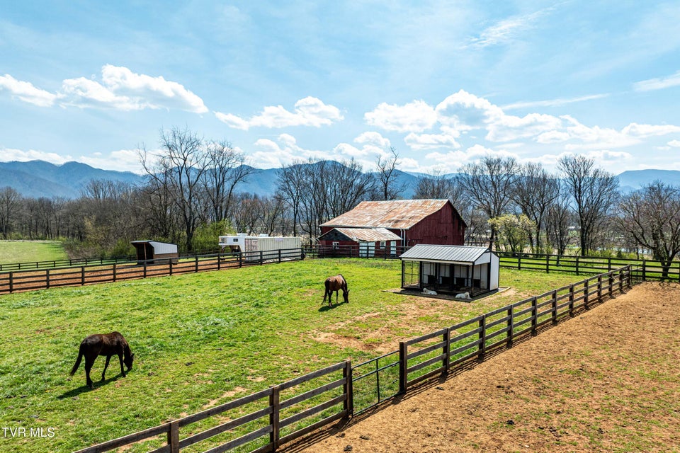Photo #70: 151 Frank Stanton Road