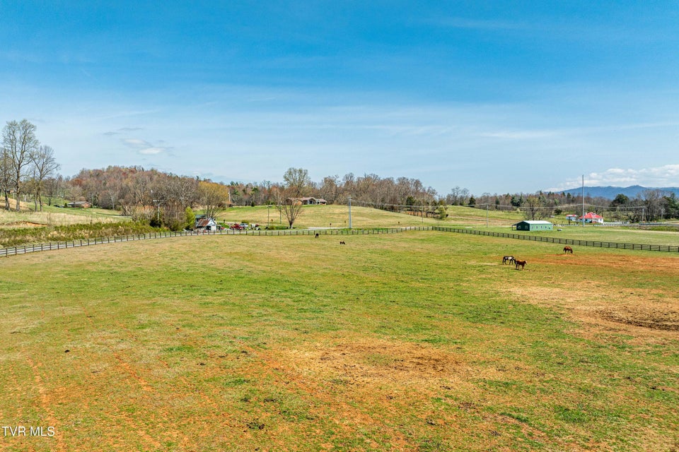 Photo #79: 151 Frank Stanton Road