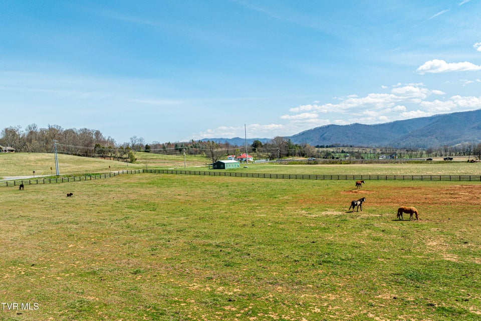 Photo #78: 151 Frank Stanton Road