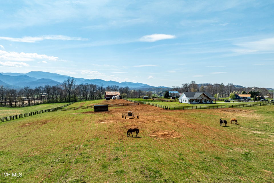Photo #80: 151 Frank Stanton Road