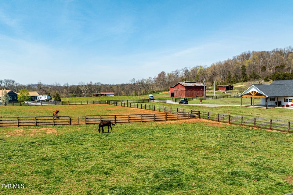Photo #76: 151 Frank Stanton Road