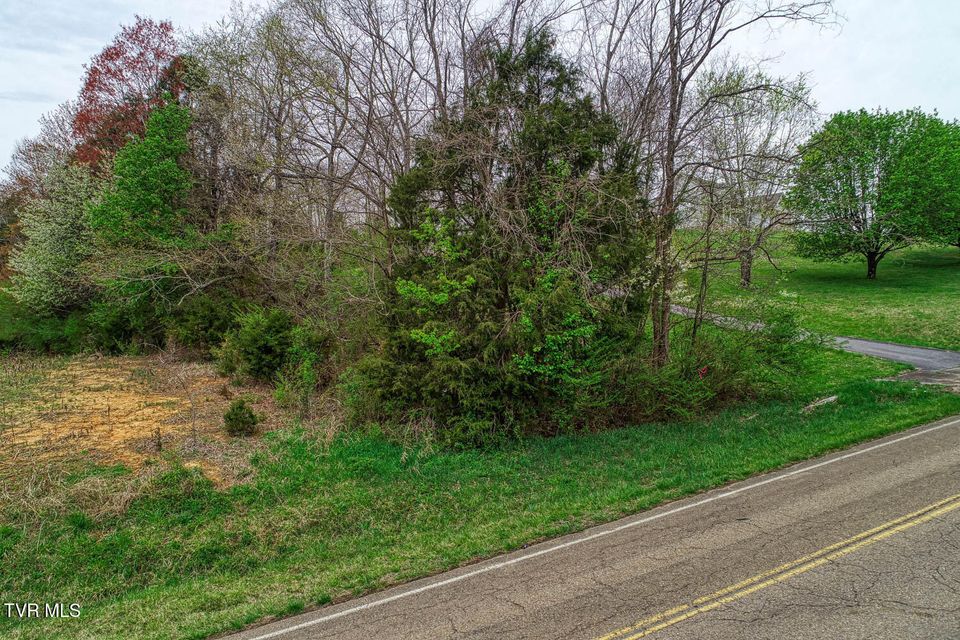 Photo #2: Tbd Overhill Drive