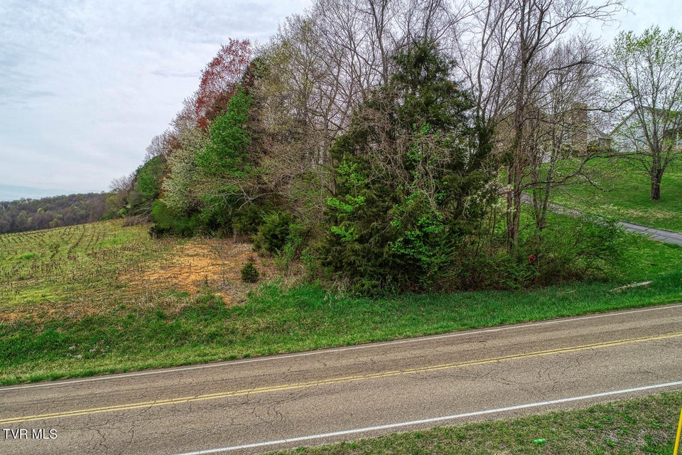Photo #3: Tbd Overhill Drive