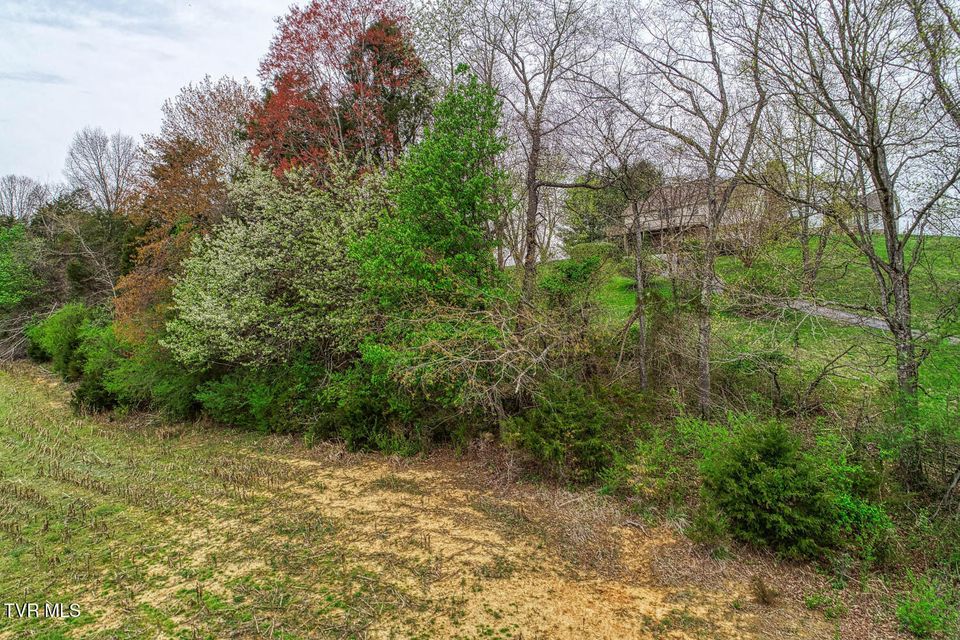 Photo #4: Tbd Overhill Drive
