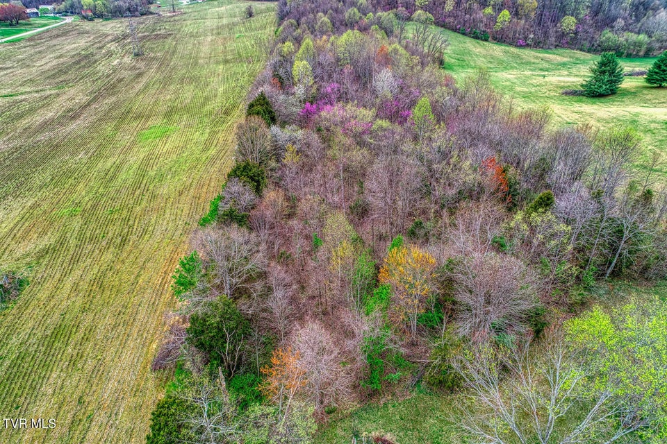 Photo #6: Tbd Overhill Drive