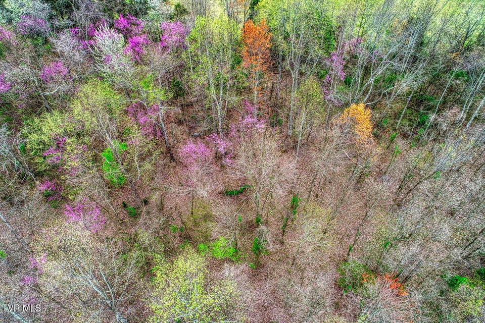 Photo #16: Tbd Overhill Drive