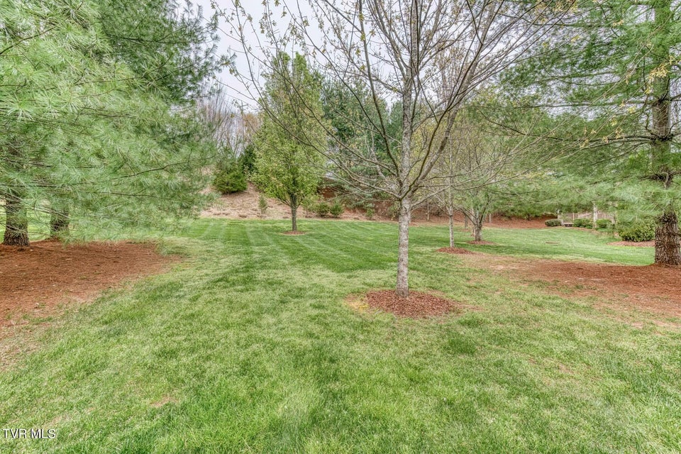 Photo #49: 94 Cypress Ridge Court