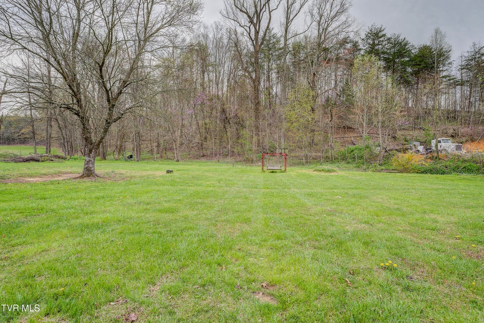 Photo #33: 201 Greene County Line Road