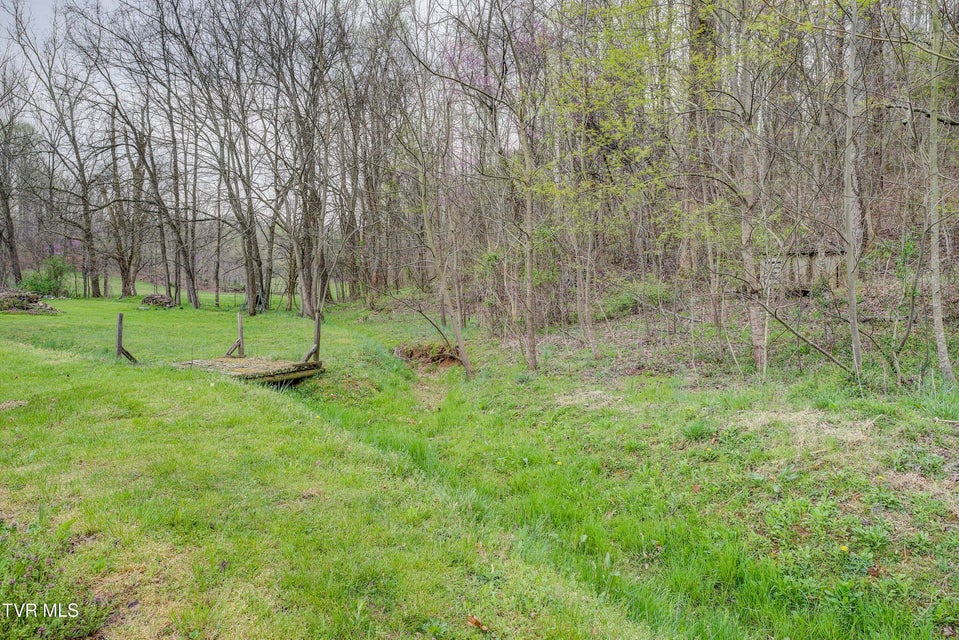 Photo #37: 201 Greene County Line Road