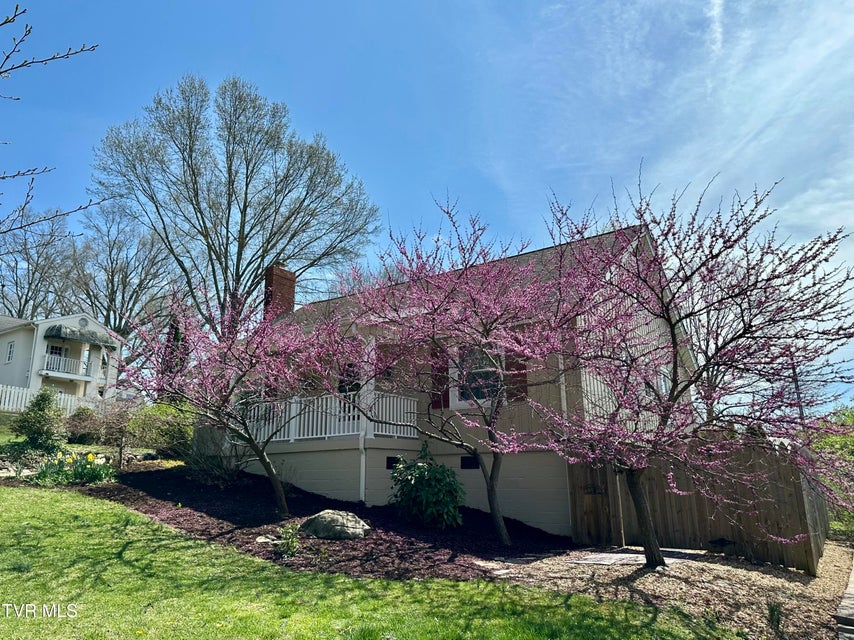 Photo #10: 612 Arlington Avenue