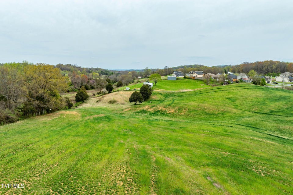 Photo #9: Tbd Highway 81 North