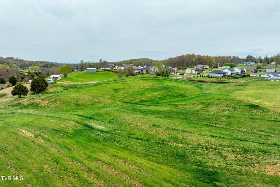 Photo #10: Tbd Highway 81 North