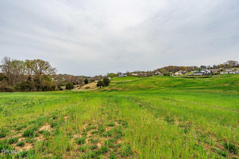 Photo #40: Tbd Highway 81 North
