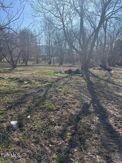 Photo #5: 564 Aj Willis Road