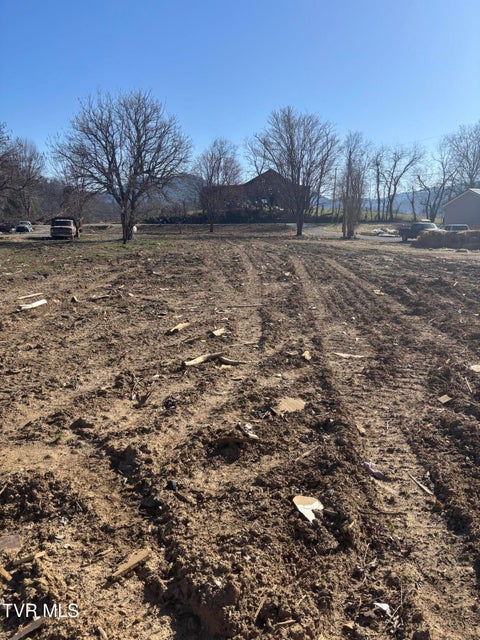 Photo #6: 564 Aj Willis Road