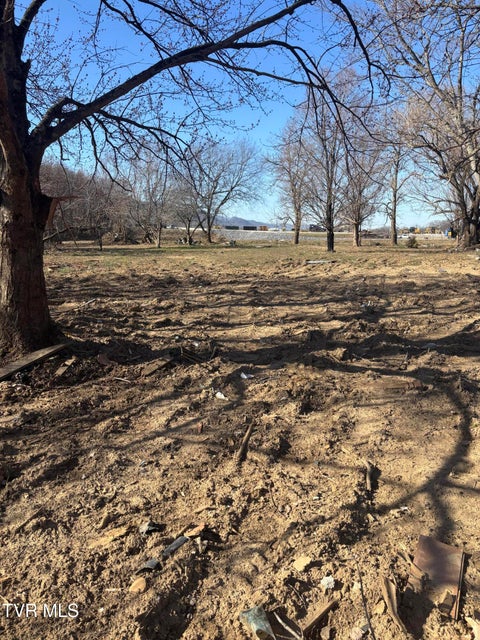 Photo #7: 564 Aj Willis Road