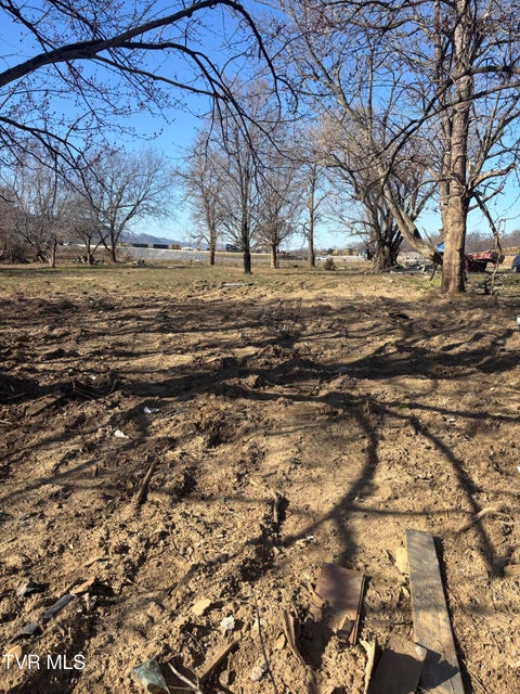 Photo #8: 564 Aj Willis Road
