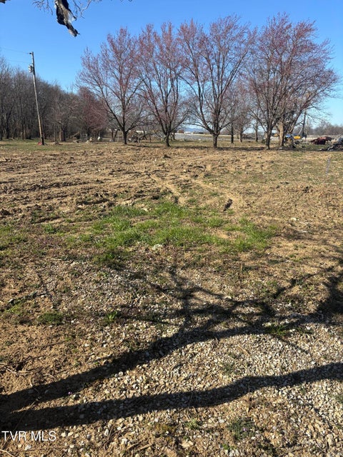 Photo #9: 564 Aj Willis Road