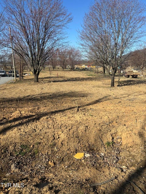 Photo #11: 564 Aj Willis Road