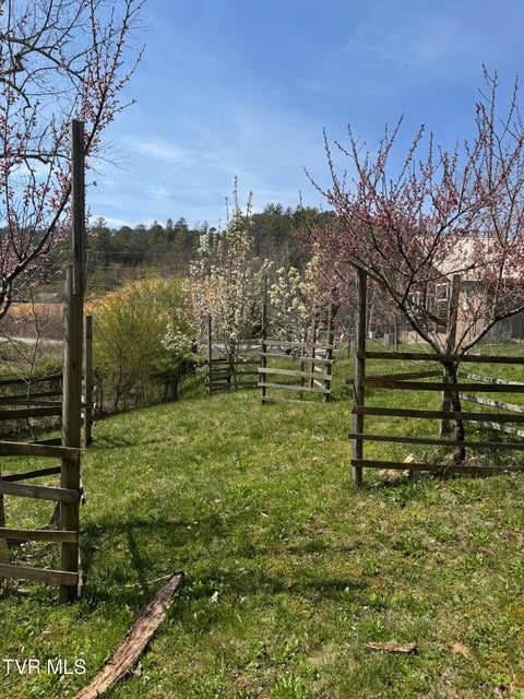 Photo #79: 6840 Greystone Road