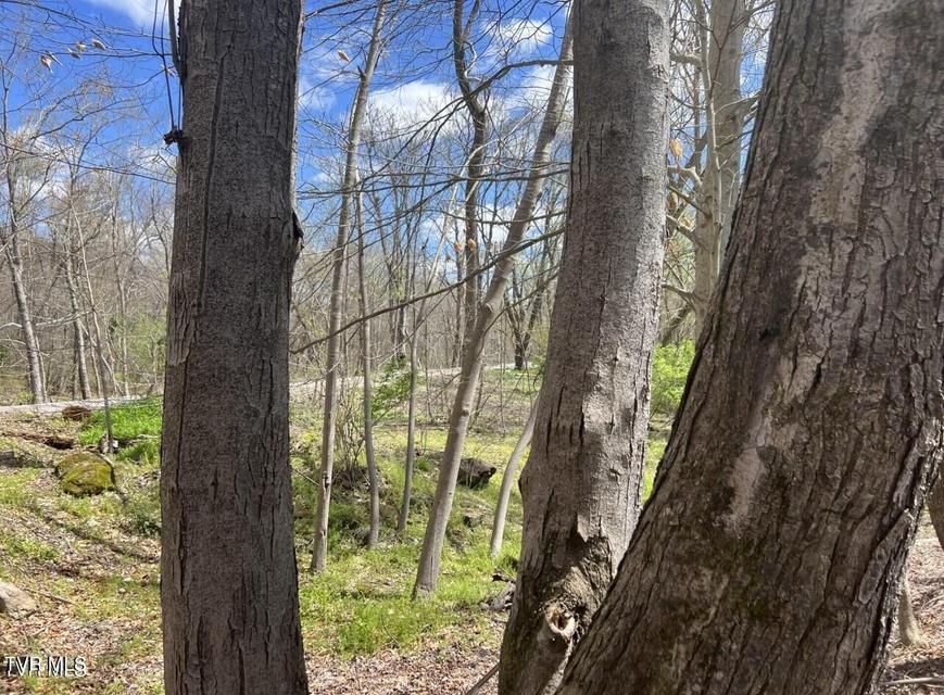 Photo #12: 518 E  River Street