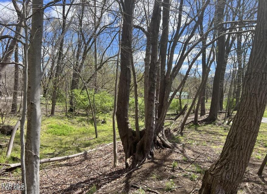 Photo #13: 518 E  River Street