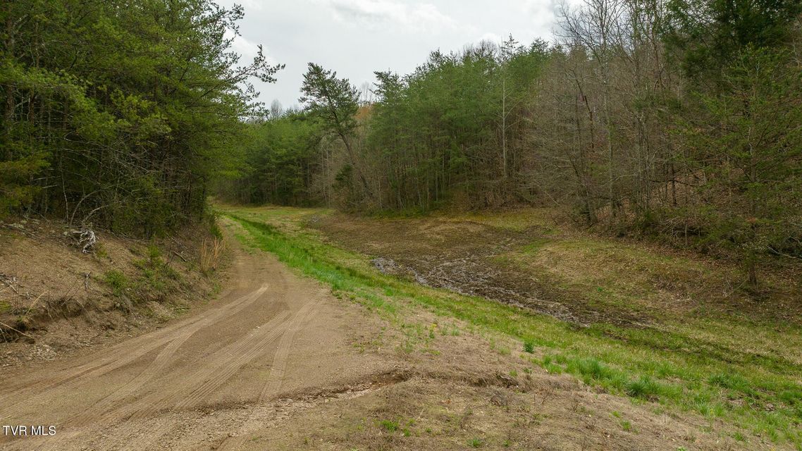 Photo #32: 8651 Tazewell Highway