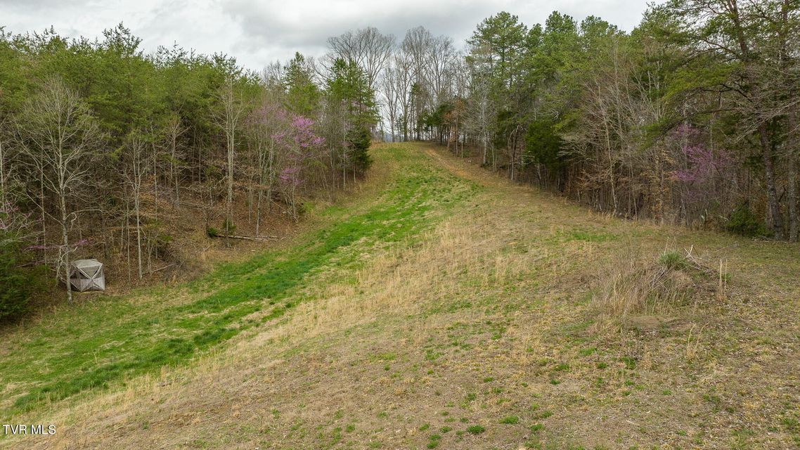 Photo #33: 8651 Tazewell Highway