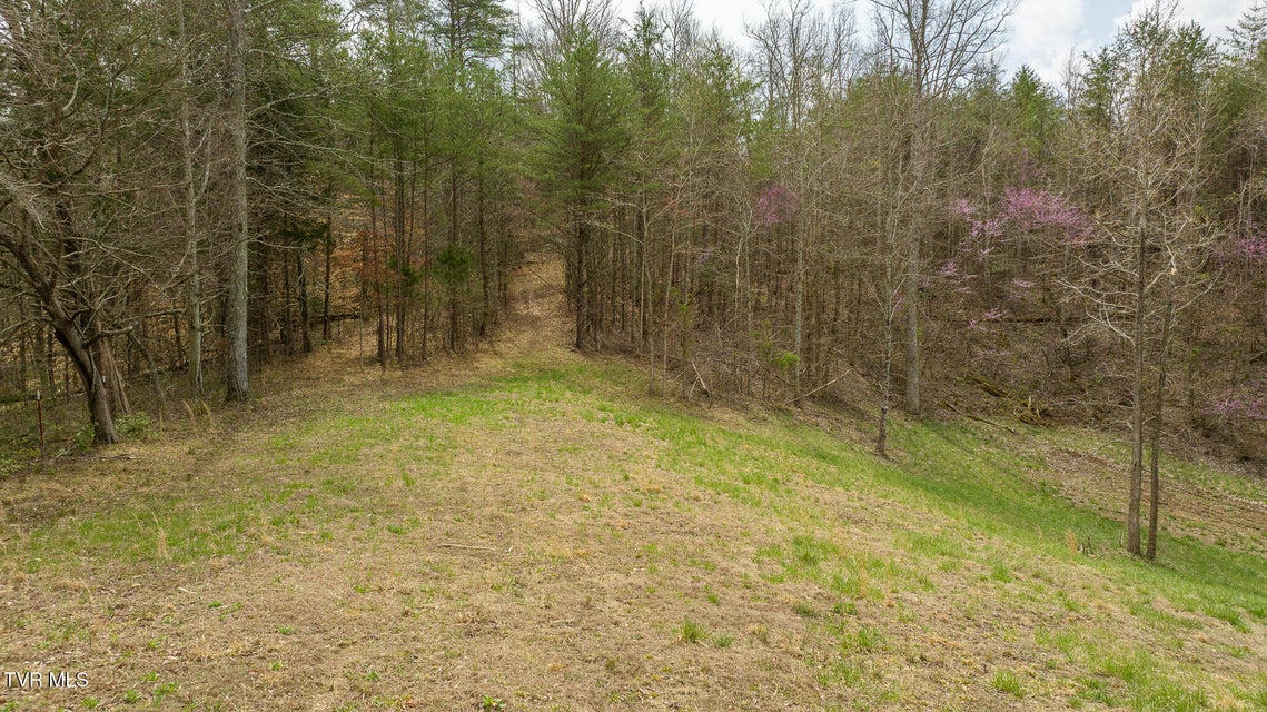 Photo #34: 8651 Tazewell Highway