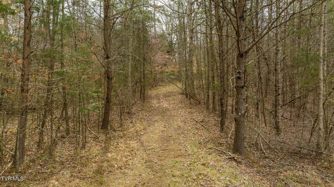 Photo #35: 8651 Tazewell Highway