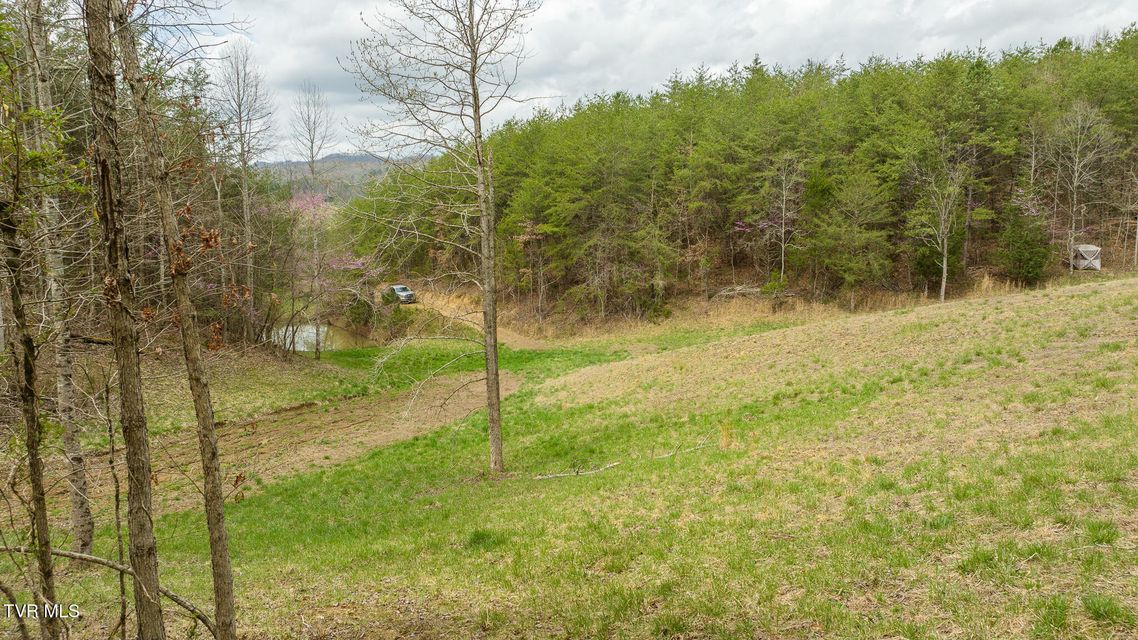 Photo #36: 8651 Tazewell Highway
