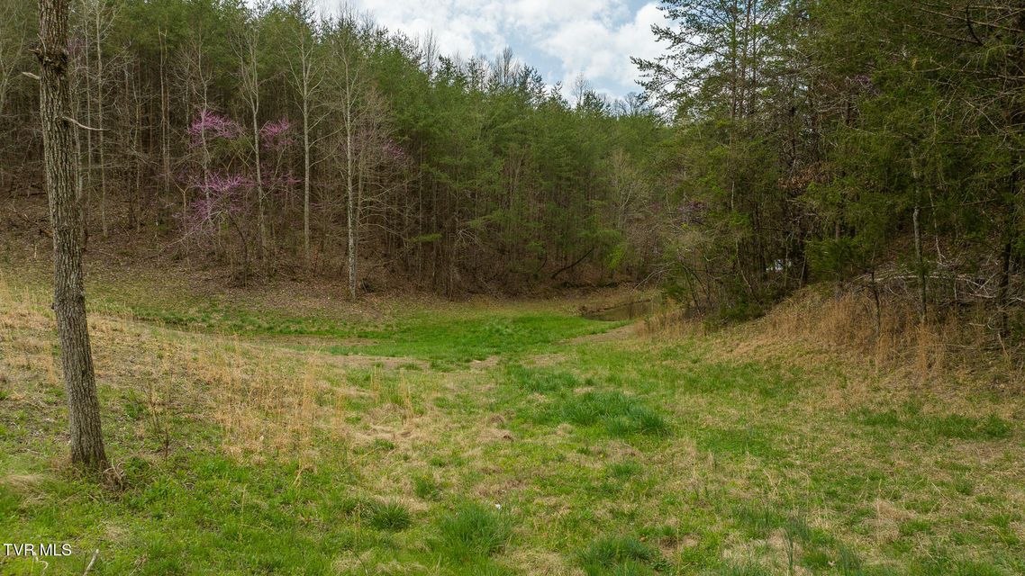 Photo #37: 8651 Tazewell Highway