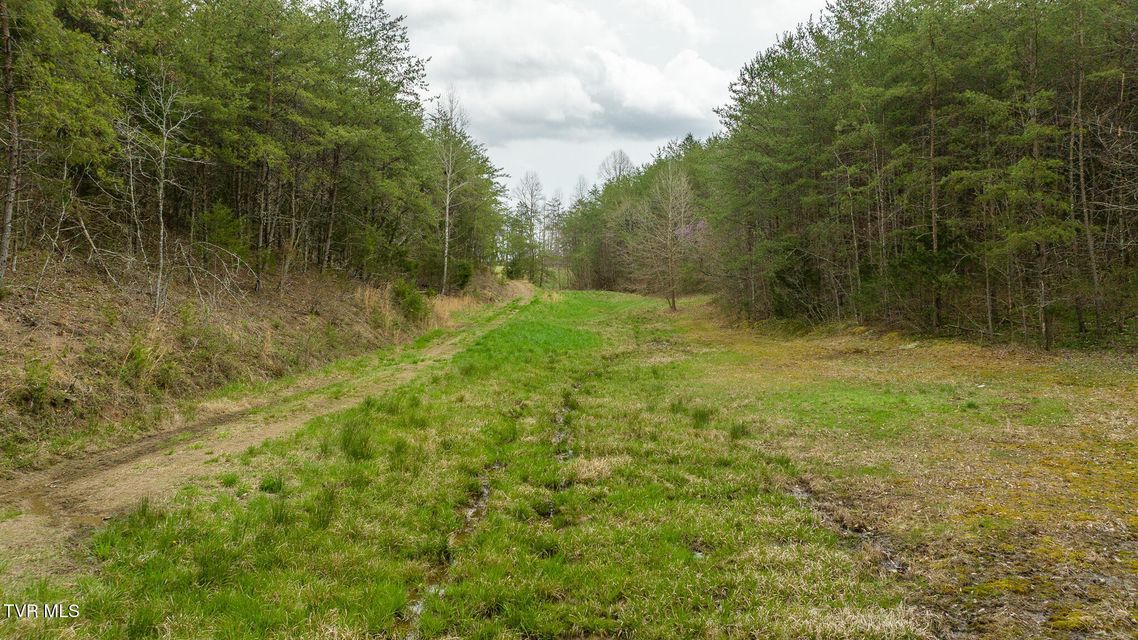 Photo #77: 8651 Tazewell Highway