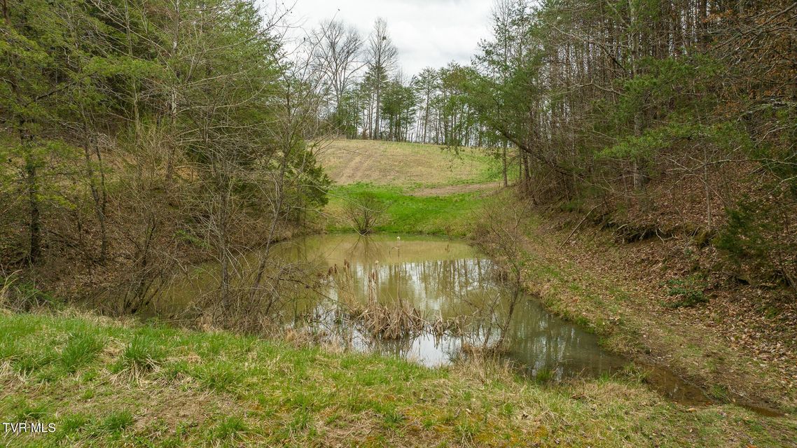 Photo #78: 8651 Tazewell Highway