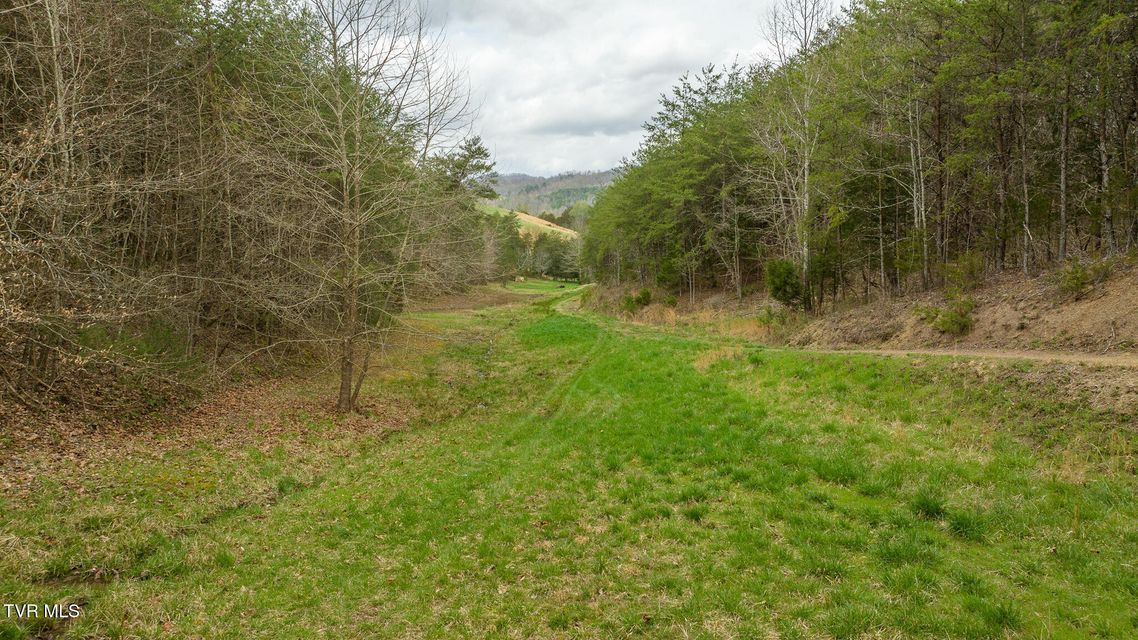 Photo #79: 8651 Tazewell Highway