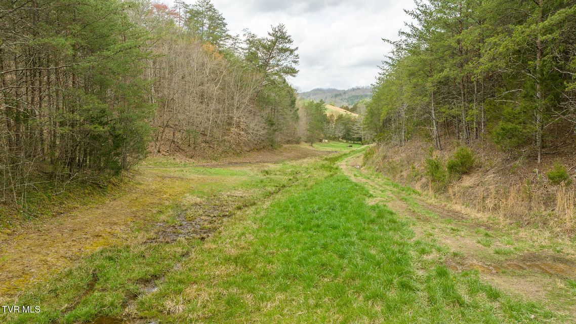 Photo #80: 8651 Tazewell Highway