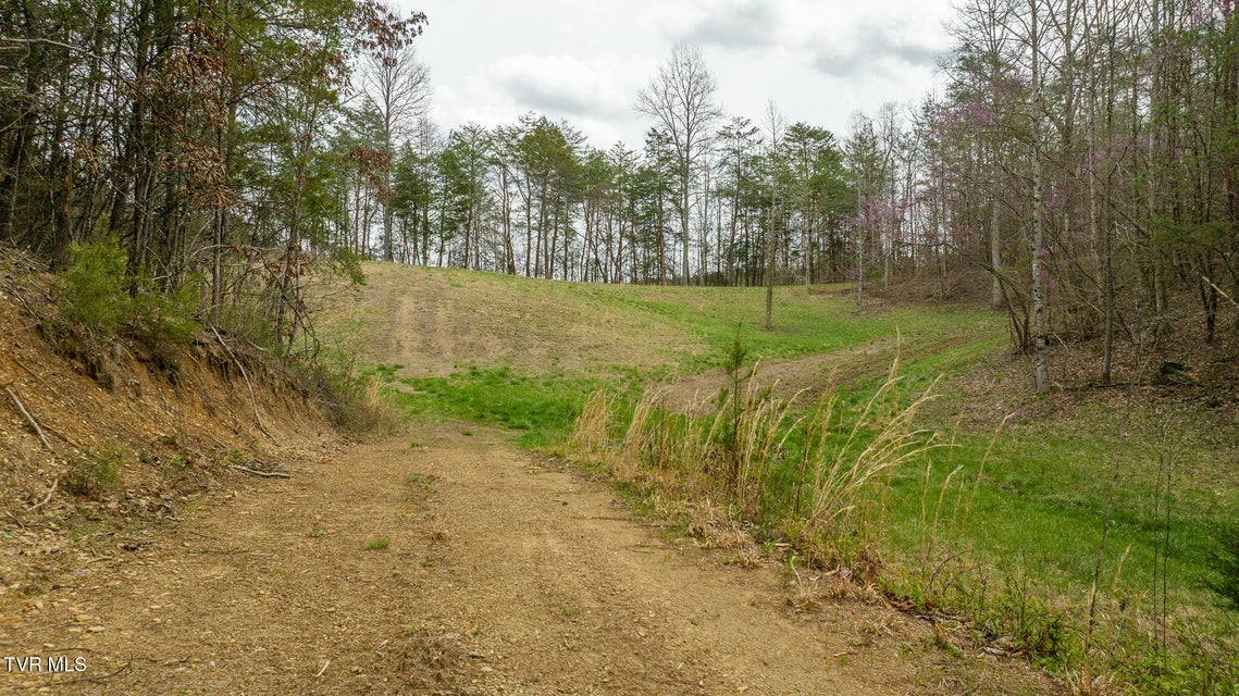 Photo #81: 8651 Tazewell Highway