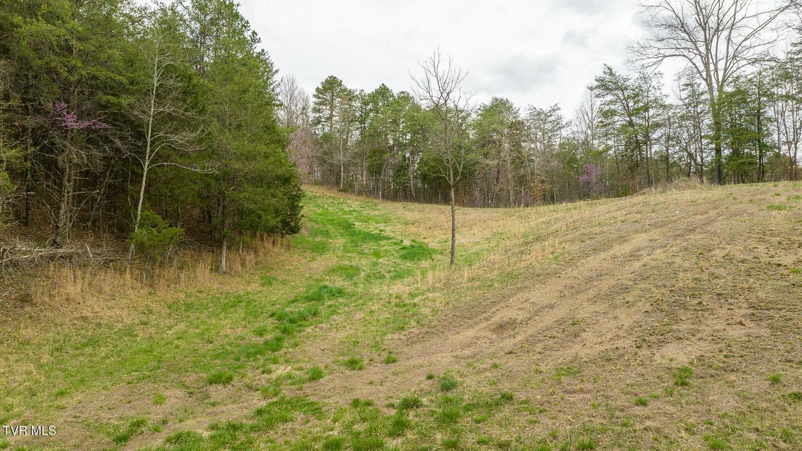 Photo #82: 8651 Tazewell Highway