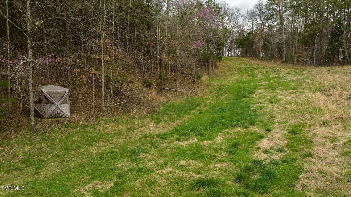 Photo #83: 8651 Tazewell Highway