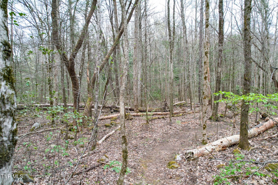 Photo #30: 120 Misty Way