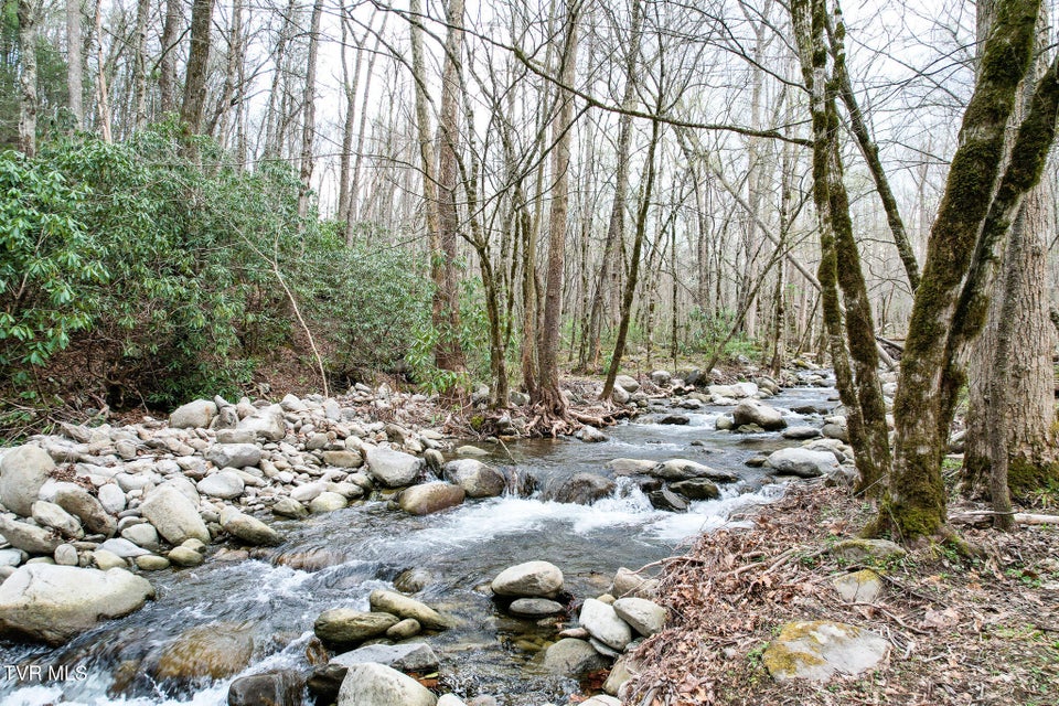 Photo #3: 120 Misty Way
