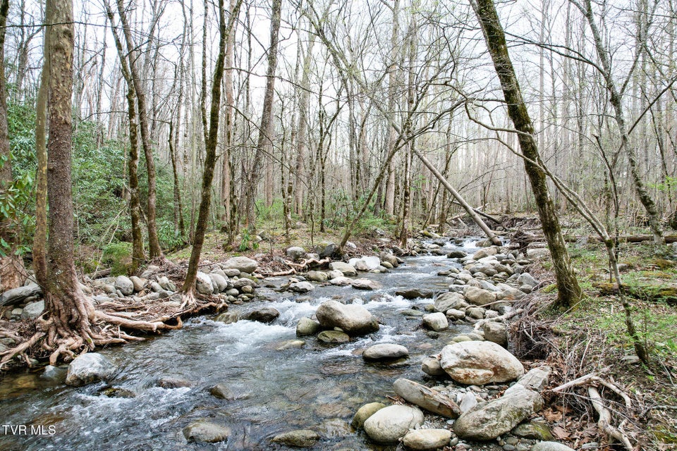 Photo #31: 120 Misty Way