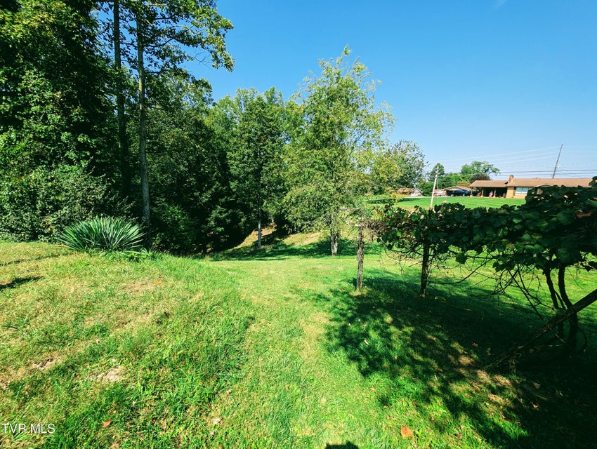Photo #29: 2509 Dc Caney Ridge Road