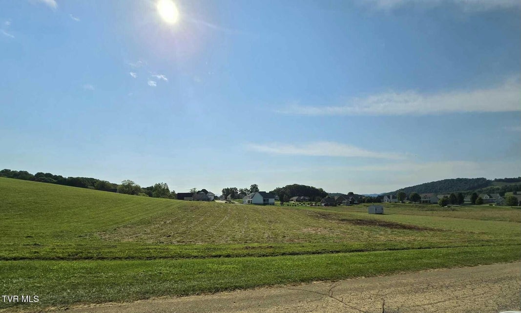 Photo #2: Tbd Snaffle Bit Lane