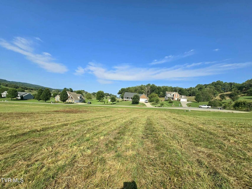 Photo #6: Tbd Snaffle Bit Lane