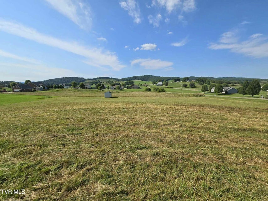 Photo #7: Tbd Snaffle Bit Lane