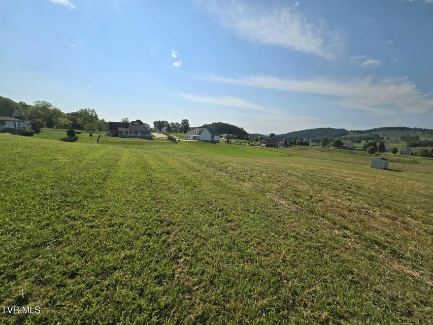 Photo #11: Tbd Snaffle Bit Lane